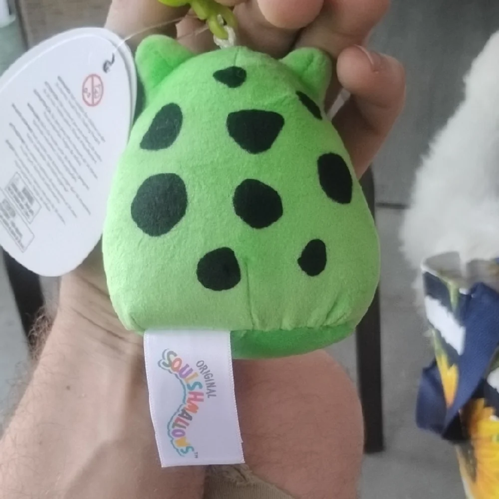 Squishmallows Wendy The Frog Keychain
